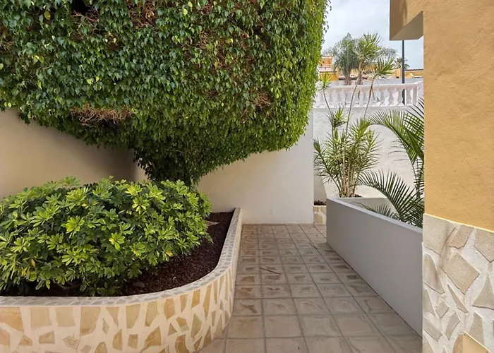 Holabrisas * 아데제