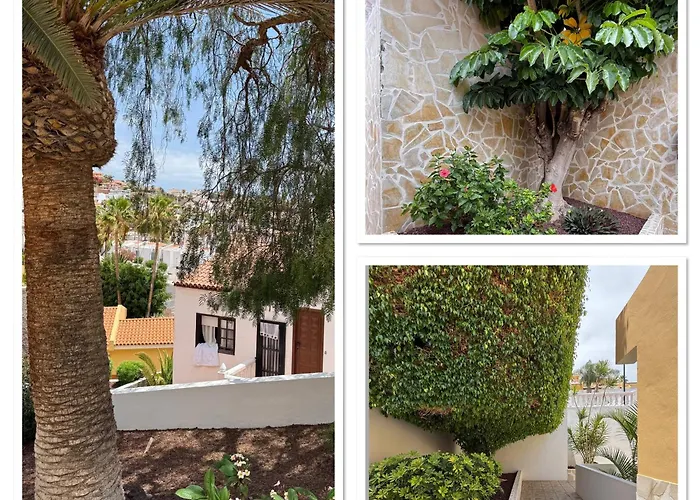 Holabrisas 아데제