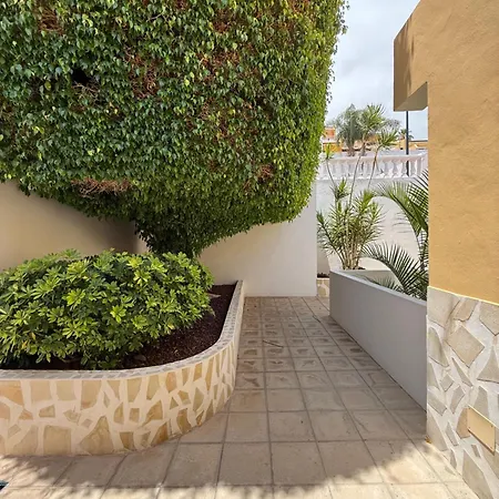 Holabrisas * Адехе