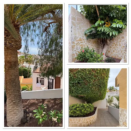 Holabrisas Адехе