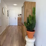 Holabrisas Apartament *